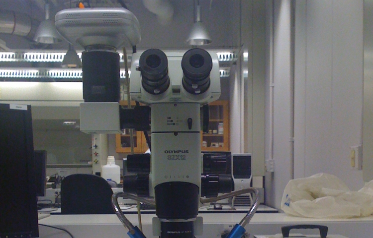 Olympus SZX12 Stereomicroscope