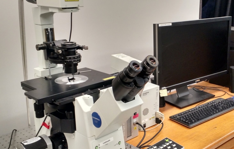 Olympus IX81 Inverted Compound Microscope | NRI-MCDB Microscopy