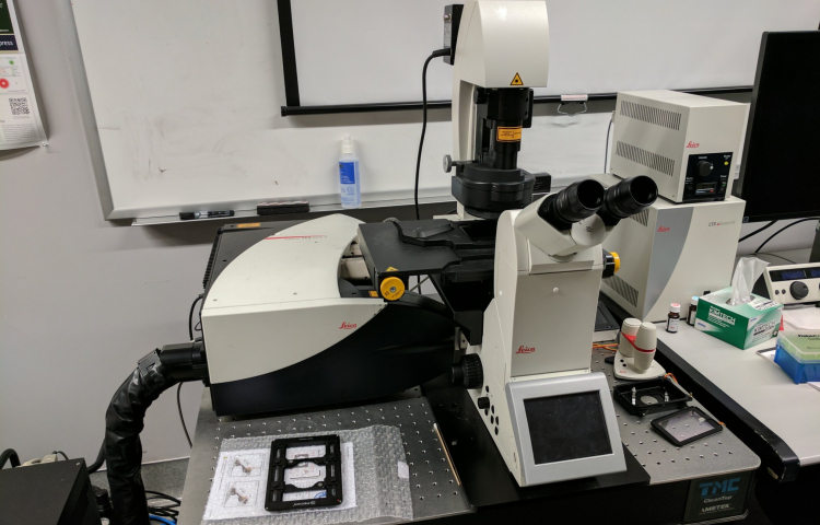 🎈 Public Lab: Prism Spectroscope